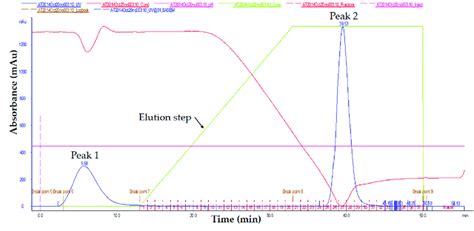 Chromatogram Of IgG Elution From NProtein A Sepharose Affinity Column