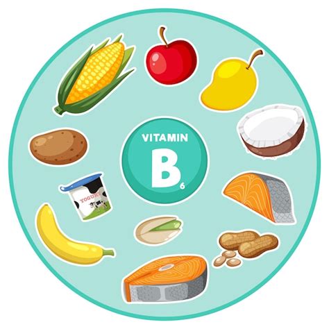 Grupo De Alimentos Y Verduras Que Contienen Vitamina B6 Vector Premium