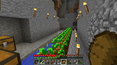 Minecraft Why Are The Trees In Minecraft Not Growing Love And Improve Life