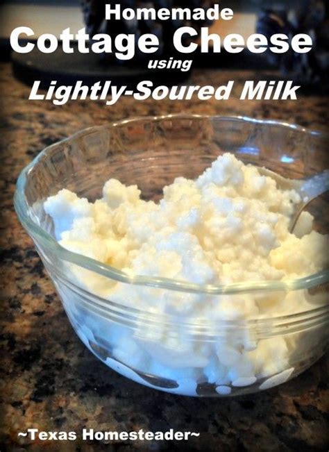 Homemade Cottage Cheese Using Soured Milk Texas Homesteader Artofit