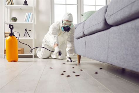 Common Causes For Home Pest Infestations