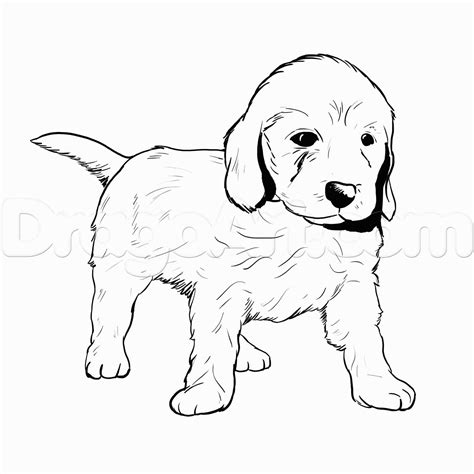 Dog Pencil Drawing Easy at GetDrawings | Free download