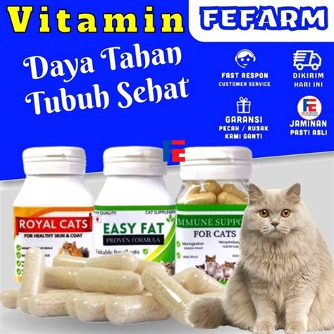 Jual VITAMIN KUCING LENGKAP BULU GEMUK DAN IMUN SUPLEMEN AMPUH BISA