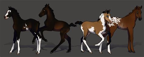 Foal Adopts 14 Open By Heartsng On Deviantart