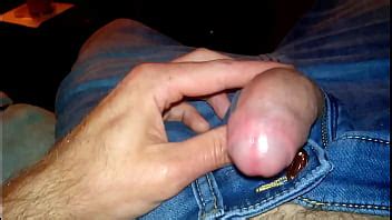 Polla XVIDEOS