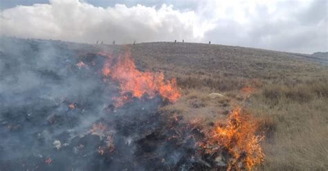 Incendio Forestal En Chicche Esta Ve Arrasa Hect Reas De Pastos Y