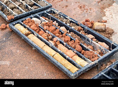 Obtaining Soil Samples In Plastic Box Soil Boring And Soil Sampling