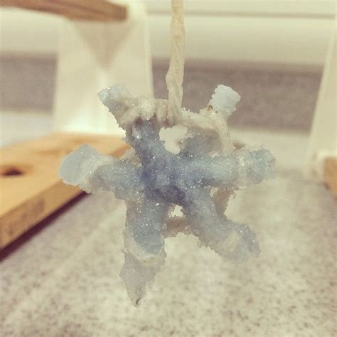 Borax Crystal Snowflake Made In Science Club Borax Crystals Crystal