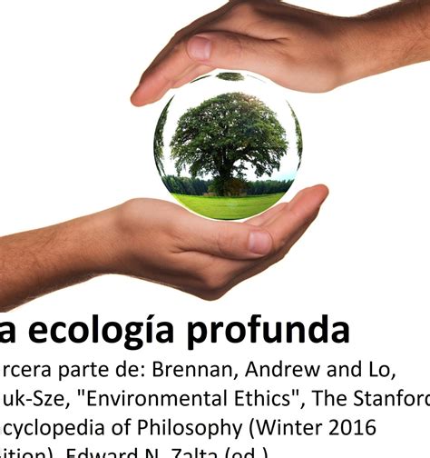 Descubre la Ecología Profunda Todo lo que Necesitas Saber eco360