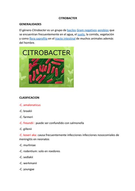 Citrobacter Clasificacion C Amalonaticus C Braakii C Farmeri C