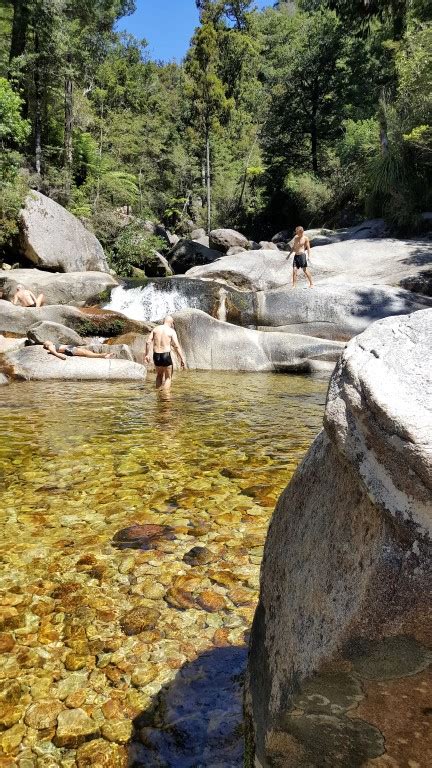 Uusi Seelanti Abel Tasman Coastal Walk Eteläsaari bambitours 2016