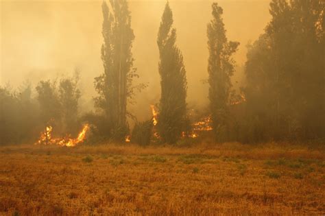 Udec Activa Plan De Emergencia Por Riesgo De Propagación De Incendios