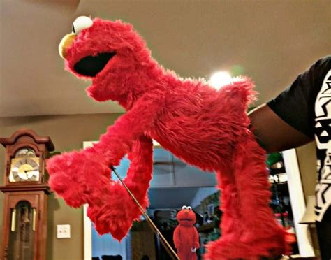 Elmo Colonoscopy : funny