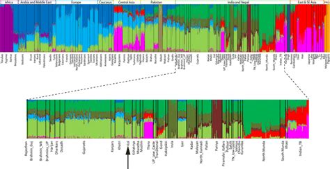 The Admixture Plot At K Showing The Ancestry Components Sharing Of