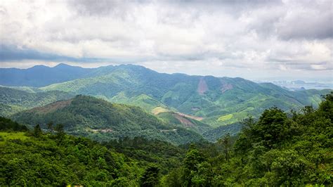 Hệ Sinh Thái Rừng Kín Thường Xanh Lớn Nhất Vùng Đông Bắc Báo Quảng