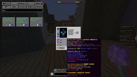 Why isn't NEU showing me Item Auction info? | Hypixel Forums