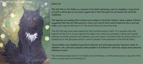 Kellas Cat | Cats, Celtic mythology, Black cat