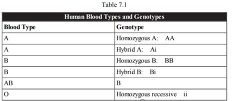 AP Biology Heredity Flashcards Quizlet