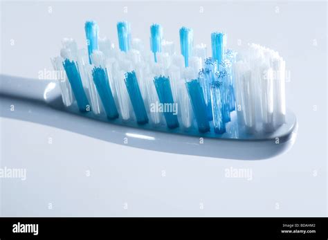 Toothbrush Bristles Stock Photo 25434306 Alamy