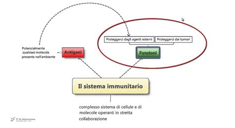 56 Sistema Immunitario Riassunto E Schema Per Il Test Di Medicina