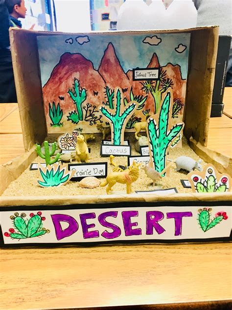 Desert Biome Diorama Grade 3 Biomes Project Ecosystems Diorama