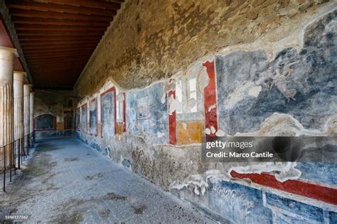 Frescoes in the house of the Vettii, in the archaeological... News ...