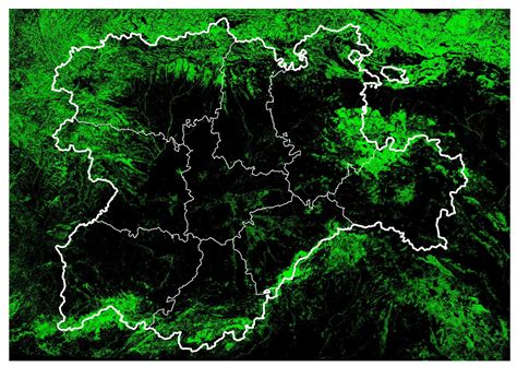 Educaci N Forestal Masas Arboladas De Castilla Y Le N