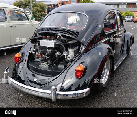 Volkswagen Vw Beetle Black Vintage Retro Show Shine Day Out Melbourne