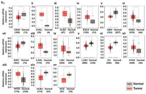 Jcm Free Full Text Multiomics Analysis Reveals That Gls And Gls