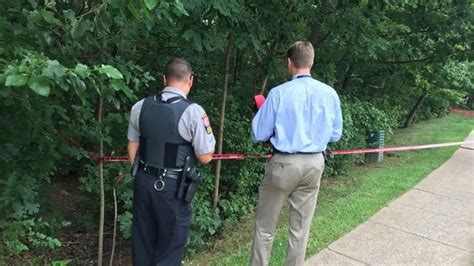 Police Look For Man They Say Dragged Woman Into Reston Woods Attempted