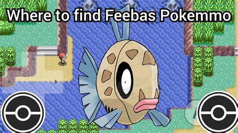 How To Catch Feebas In About A Minute Pokemmo Feebas YouTube