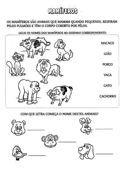 Animais MamÍferos Atividades ExercÍcios Desenhos Colorir Imprimir I Portal Escola