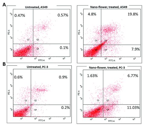 Cytograms For Apoptosis Necrosis Assessment Using Flow Cytometry A