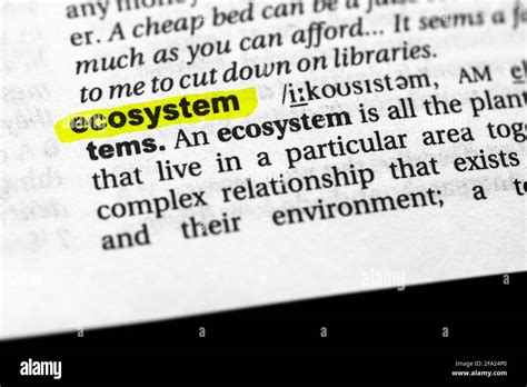 Highlighted Word Ecosystem Concept And Meaning Stock Photo Alamy