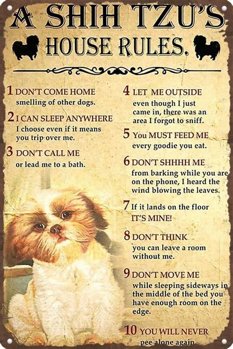 Shih Tzu House Rules In 2024 House Rules Vintage Metal Signs Garage