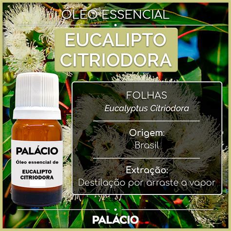 Óleo Essencial De Eucalipto Citriodora 100 Puro 10 Ml Shopee Brasil