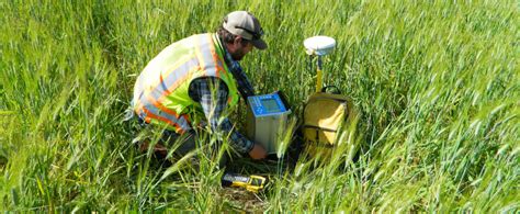 Land Gravity Surveys Ground Magnetic Surveys Exploration Grids