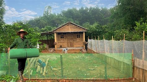 Manh Make A Playground For Puppies Make A Bed Of Soil To Plant