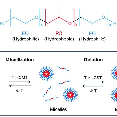 Schematic Of The Structure And Reversible Thermoresponsive Behavior Of