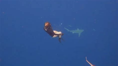 Female free diver swimming with sharks i... | Stock Video | Pond5