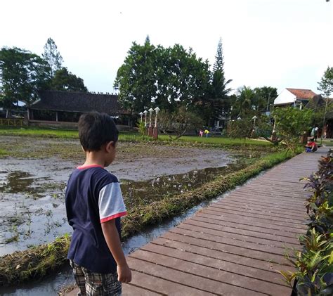 Pengaruh Cuaca Dan Iklim Bagi Kehidupan Mushlihatun Syarifah