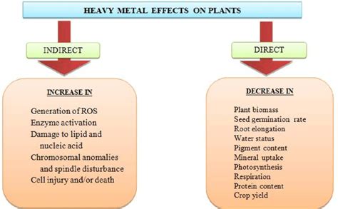 Direct And Indirect Toxic Effects Of Heavy Metals On Plants 8 11 Download Scientific Diagram