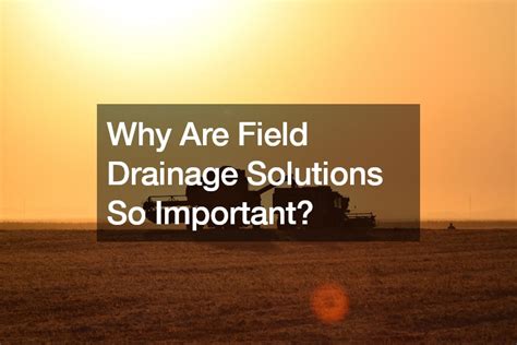 Why Are Field Drainage Solutions So Important? - Fresh50