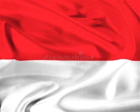 Vector De La Bandera De Indonesia Ejemplo De La Bandera De Indonesia