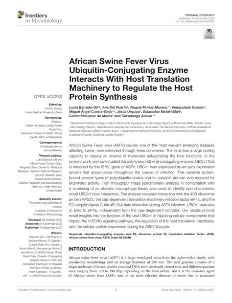 Pdf African Swine Fever Virus Ubiquitin Conjugating Enzyme Interacts With Host Translation