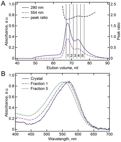 Hmbri Size Exclusion Chromatography Sec Elution Profile And Visual