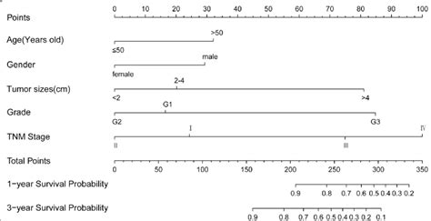 Nomogram Predicting 1 And 3 Year OS Of Patients With Rectal NETS The