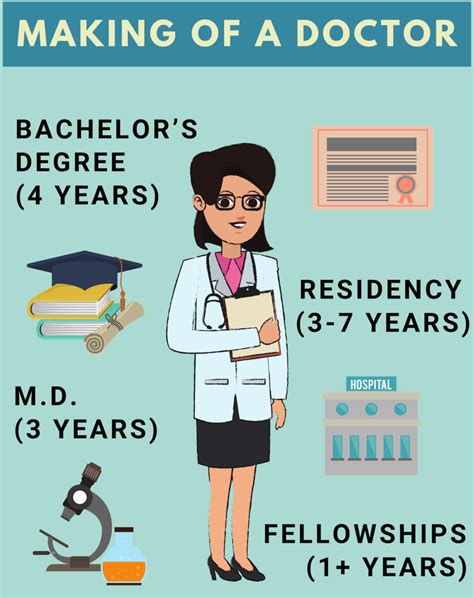 What Is Bachelor Of Medical Imaging At Jane Black Blog