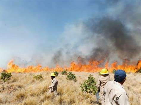 Exhorta Comité Estatal de Manejo del Fuego para evitar incendios