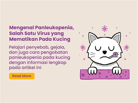 Panleukopenia Pada Kucing Penyebab Gejala Dan Pengobatan